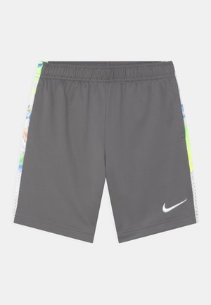 Graue Sportshorts mit einem elastischen Bund, ausgestattet mit bunten seitlichen Einsätzen und einem weißen Nike-Swoosh-Logo am unteren rechten Saum.
