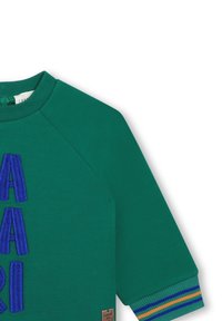 Felpa verde con ricamo blu raffigurante lettere. Polsini a coste con strisce viola, gialle e verdi. Etichetta visibile sull'orlo.