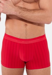 Rote Boxershorts aus elastischem Material, mit vertikalen Streifen und einem breiten Bund mit eingeprägtem Markenlogo.