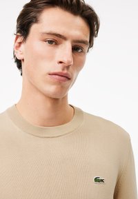 Junger Mann mit heller Haut und dunklem Haar trägt einen beigen Rundhals-Pullover, der ein kleines grünes Krokodil-Logo auf der Brust trägt.