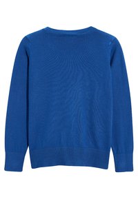 Blå strikket sweater med lange ærmer, rund hals og ribbede manchetter og kant. Glat tekstur med en ensfarvet overflade og ingen synlige mønstre.