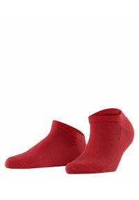 FALKE ACTIVE BREEZE - Socken - scarlet