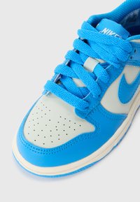 Blue Nike sneakers featuring a smooth leather upper, perforated toe, textured laces, and a cream-colored midsole.