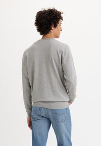 Gray sweatshirt with long sleeves, ribbed crew neck and hem, featuring a smooth texture. Worn with blue jeans, view from the back.