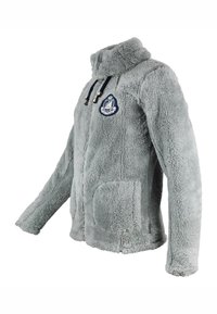 Peak Mountain ASANA - Veste polaire - gris
