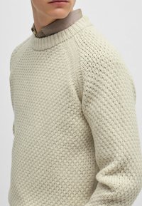 Maglione a maglia beige chiaro con un motivo testurizzato, colletto a girocollo a costine e maniche raglan, mostrato su uno sfondo semplice.