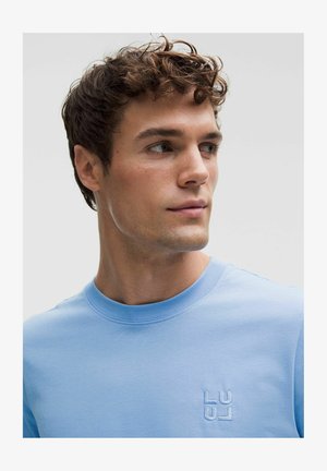 Felpa azzurro chiaro in cotone con scollo girocollo a costine e un discreto logo ricamato sul petto. Tessitura liscia e vestibilità regolare.