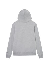 Gray hooded sweatshirt made of soft fabric, featuring a relaxed fit, long sleeves, and ribbed cuffs and hem for added comfort.
