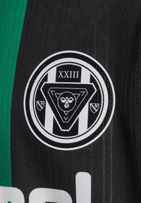 Svart och grönt randigt tyg med en cirkulär logotyp. Logotypen innehåller en central triangel, en insektdesign och texten "XXIII."