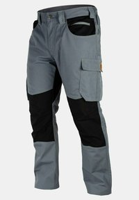 FORSBERG Cargobroek - gray