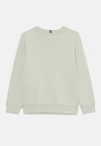 Lichtgroene sweatshirt met een ronde hals, geribbelde boorden en zoom, met een kleine rood, wit en blauwe streep bij de hals.