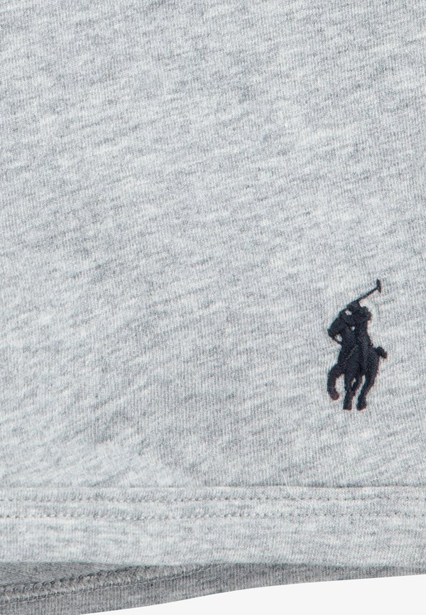 STRETCH BRIEF 3 PACK - Pants - andover heather3