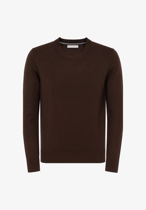 Maglione marrone a maniche lunghe realizzato in materiale morbido, caratterizzato da una scollatura rotonda e da polsini e bordo a costine, con una texture liscia.