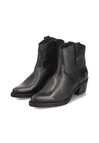 Zwarte leren enkelboots met een spitse neus, rits aan de zijkant en een lage gestapelde hak. Gladde textuur met minimale stikseldetails.