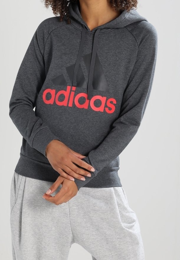 Personne portant un sweat à capuche gris foncé avec un logo montagne noir et le texte rouge « adiaas », associé à un pantalon texturé gris clair.