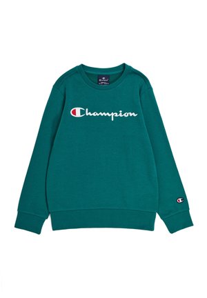 Bluza