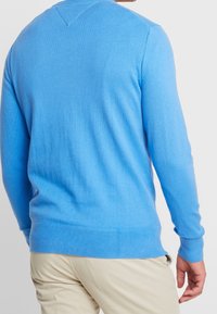 Helles blaues Strickpullover mit langen Ärmeln, Rippbündchen und -saum, V-Ausschnitt hinten und glatter Textur. Kombiniert mit beigen Hosen.