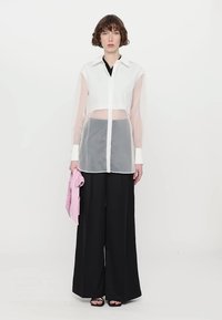 Transparent white shirt with long, sheer sleeves, high collar, and a button front. Paired with high-waisted black trousers and a pink scarf.