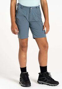 Dare 2B REPRISE  - Outdoor Shorts -  grey