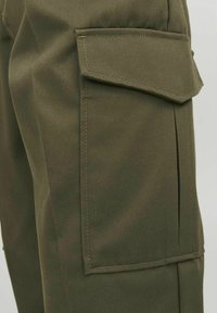 Olivgrüne Cargo-Hosen aus strukturiertem Stoff, mit seitlichen Taschen und Klappen sowie verstärkten Nähten für zusätzliche Haltbarkeit.
