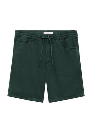 Grüne Baumwollshorts mit einem elastischen Kordelzugbund, zwei Fronttaschen und einem lockeren Schnitt. Glatte Textur und minimale Nähdetails.