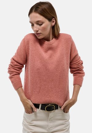 MANCHES LONGUES COL BATEAU - Pullover - truite