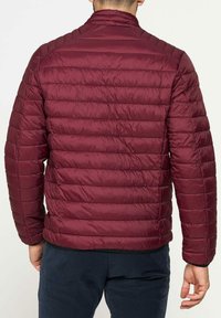 Carrera Jeans PESANTE - Giacca invernale - borgogna nero