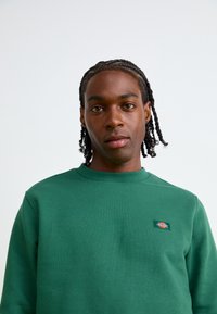 Green sweatshirt featuring ribbed crew neckline, long sleeves, and a small logo patch on the chest. Soft cotton blend material.