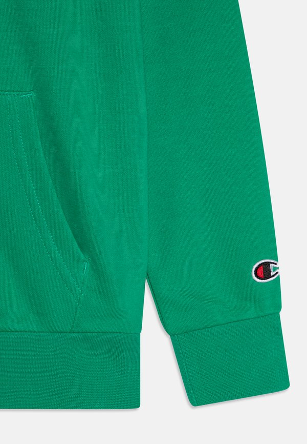 ICONS HOODIE WITH SMALL LOGO - Sweatshirt3