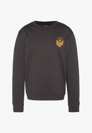 Grauer Sweatshirt aus Baumwollmischung mit rundem Ausschnitt und langen Ärmeln. Auf der linken Brustseite vorne ist ein gelbes Motiv mit Streifen und einem Stern zu sehen.