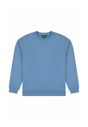 Felpa azzurro chiaro con maniche lunghe, scollo rotondo, polsini e orlo a costine, realizzata in tessuto liscio con un design semplice.