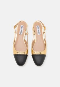 Kultaiset metalliset slingback-laput mustilla kärjillä ja nilkkahihnoilla, merkitty "Steve Madden", kuvattuna ylhäältä valkoista taustaa vasten.