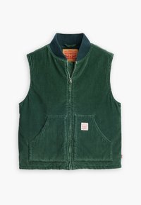 Non sélectionné, python green