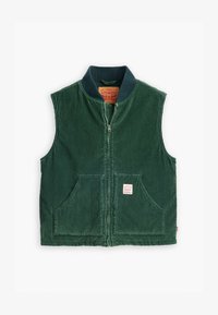 Não selecionado, python green