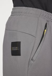 Adidas Terrex NATIONAL GEOGRAPHIC AERO.READY_WARMING PANTS - Āra bikses - grey