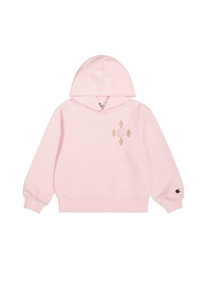 WANDERER - Kapuzenpullover - rose