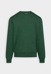 Grön bomullströja med långa ärmar, crew neck, ribbade ärmslut och nederkant. Har en liten logotyp på baksidan. Mjuk och slät textur.