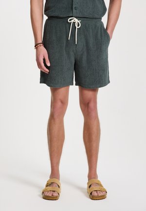 Pantalones cortos de textura verde oscuro con cintura elástica y cordón, que cuentan con dos bolsillos laterales. Se lleva con sandalias color beige.