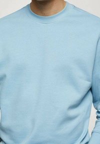 Felpa a girocollo azzurro chiaro con una texture liscia e maniche lunghe, dotata di polsini a costine e collo a coste per comfort e vestibilità.