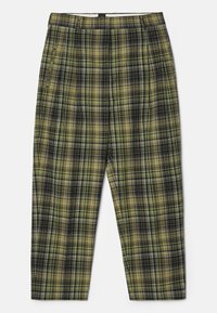 TROUSERS - Hlače - green