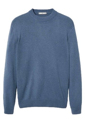 Pullover - blue