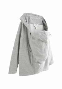 Next Sweat à capuche - grey