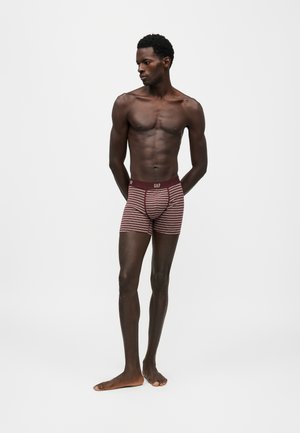 GAP, 3 PACK - Боксерки - multi-coloured