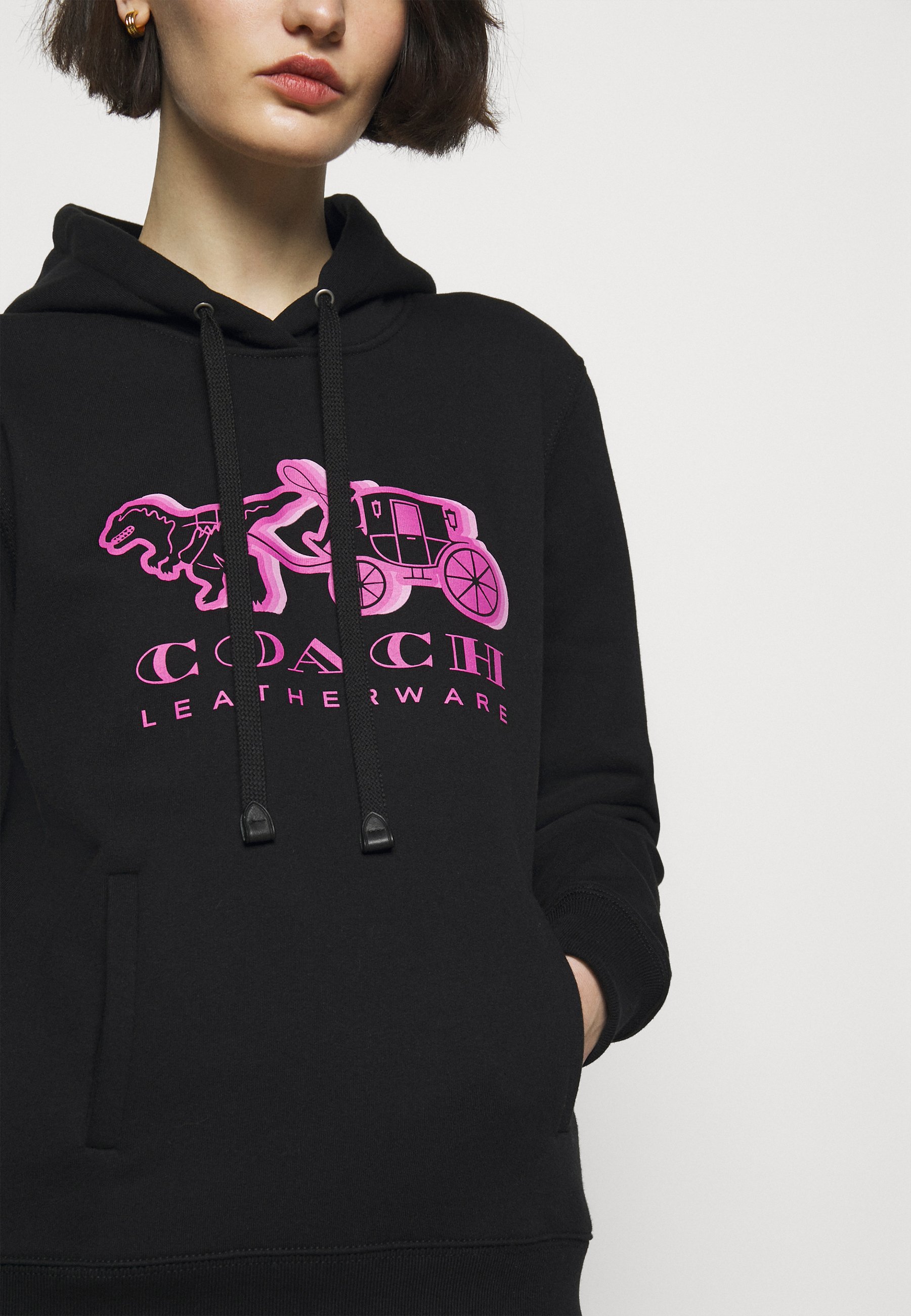 coach pullover