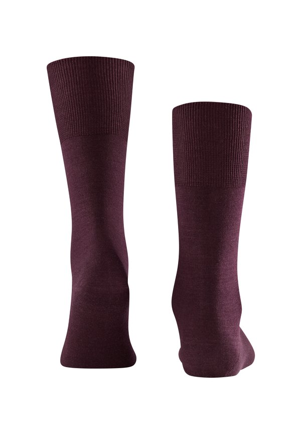 AIRPORT - Socks - barolo2