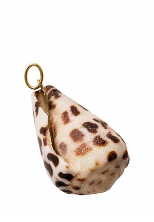 Colgante de concha marina marrón y blanca con manchas, con un anillo dorado para colgar en una cadena o cuerda, aislado sobre fondo blanco.