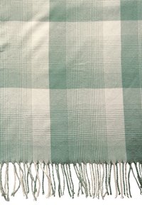 Coperta a quadri verde e bianca con una texture morbida, dotata di bordi frangiati, che mostra un motivo intrecciato con diverse sfumature.