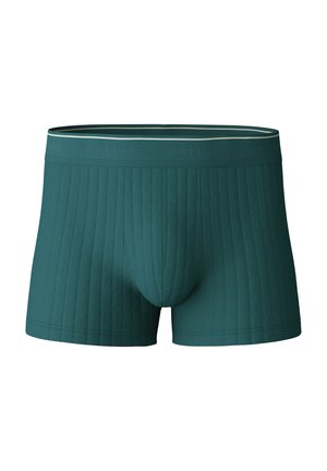 Boxer briefs color verde scuro con texture a righe verticali, cintura elastica con nome del marchio in rilievo, design aderente per il comfort.