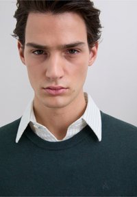 Mörkgrön tröja med ribbad halsringning över en ljusblå skjorta med smala ränder. Slät textur, smal passform och synlig krage.