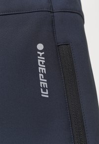 Icepeak FRECHEN - Calças de esqui - dark blue